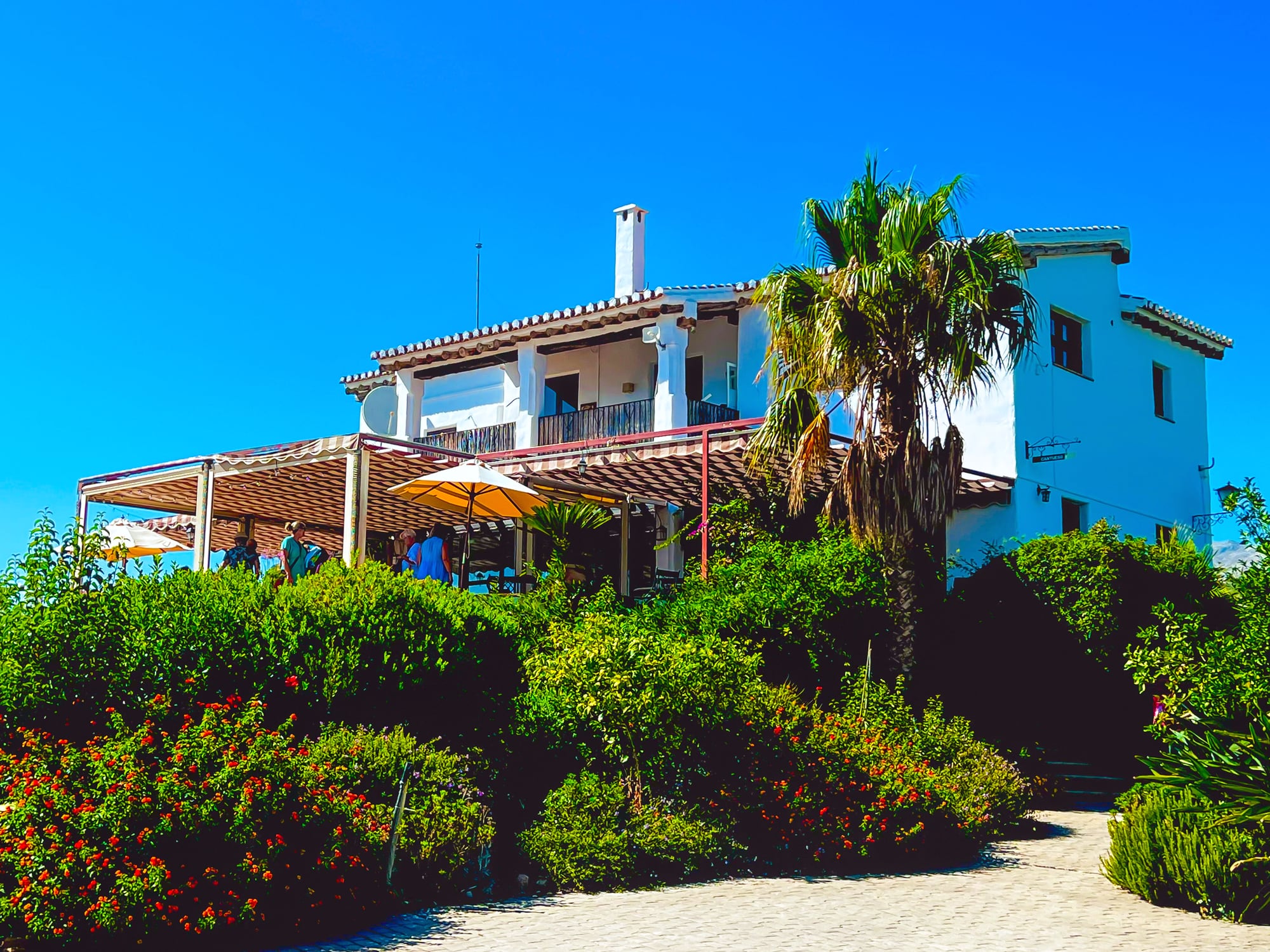 Photograph of dining at Finca Cantueso